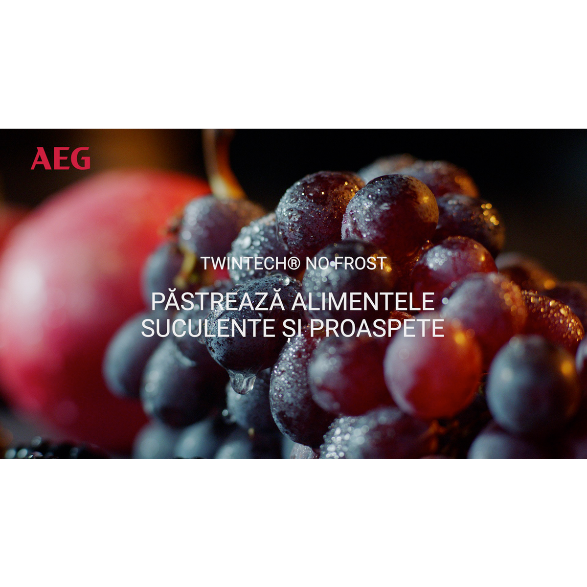 AEG - Combina frigorifica incorporabila - SCE819D8TS