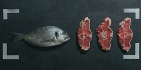 Tipuri diferite de pește și carne