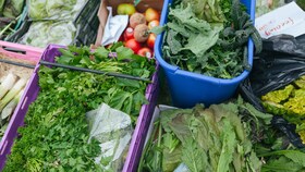 O selecție cu mai multe frunze de salată