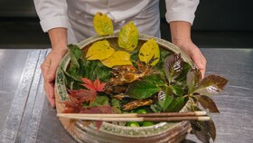 Un bol de lemn cu frunze și ierburi aromate proaspăt culese