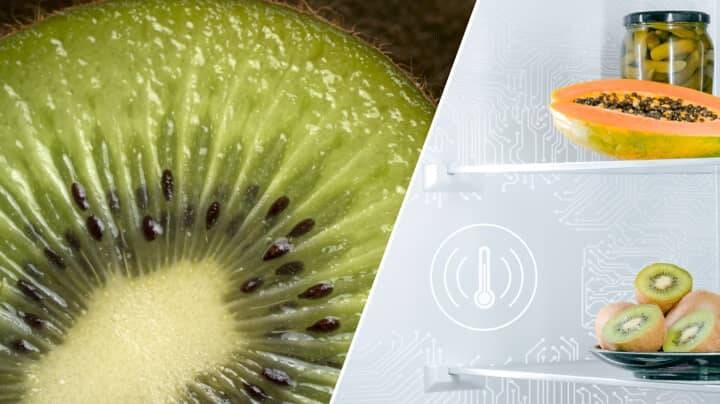 kiwi